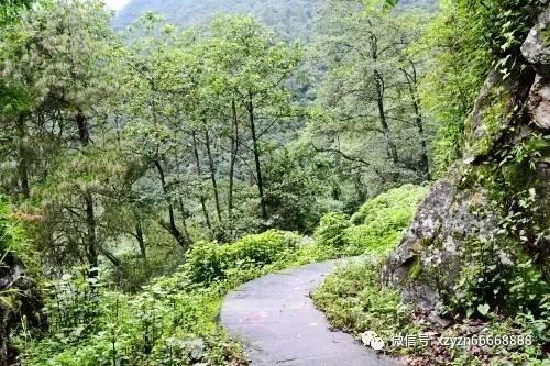 一年来首次扭亏，SK海力士能否靠AI芯片走出低谷？